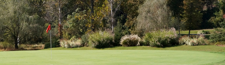 Closeup of a hole on the course at Chapel HIll