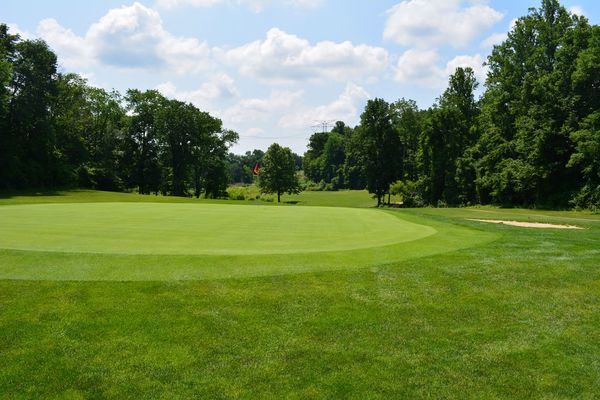 Closeup of a hole's greens at Chapel Hill