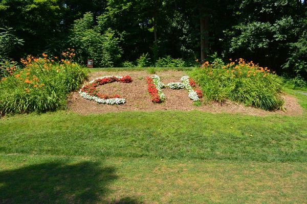 Flowers arranged in the letters, C and H